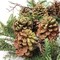 24&#x22; Mixed Pine Wreath with Natural Moss &#x26; Pine Cones by Floral Home&#xAE;